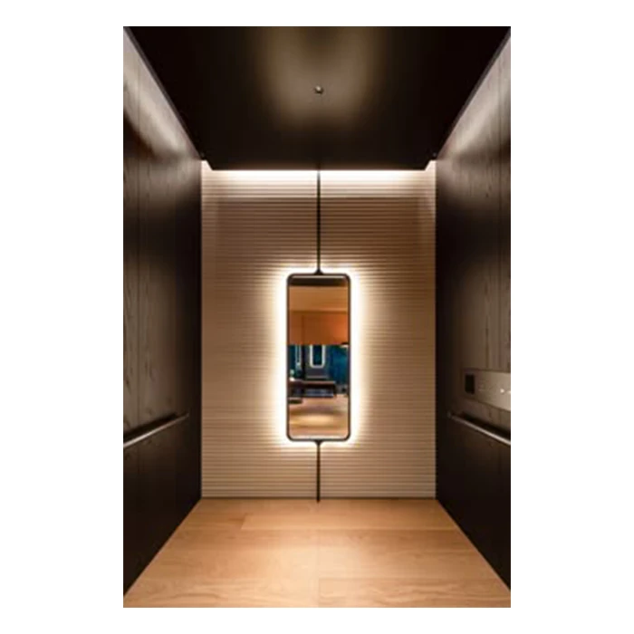 ZLE Private Customized Shopping Mall Elevator
